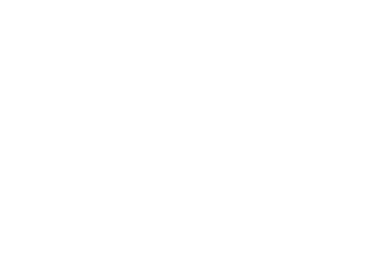 flichman logo